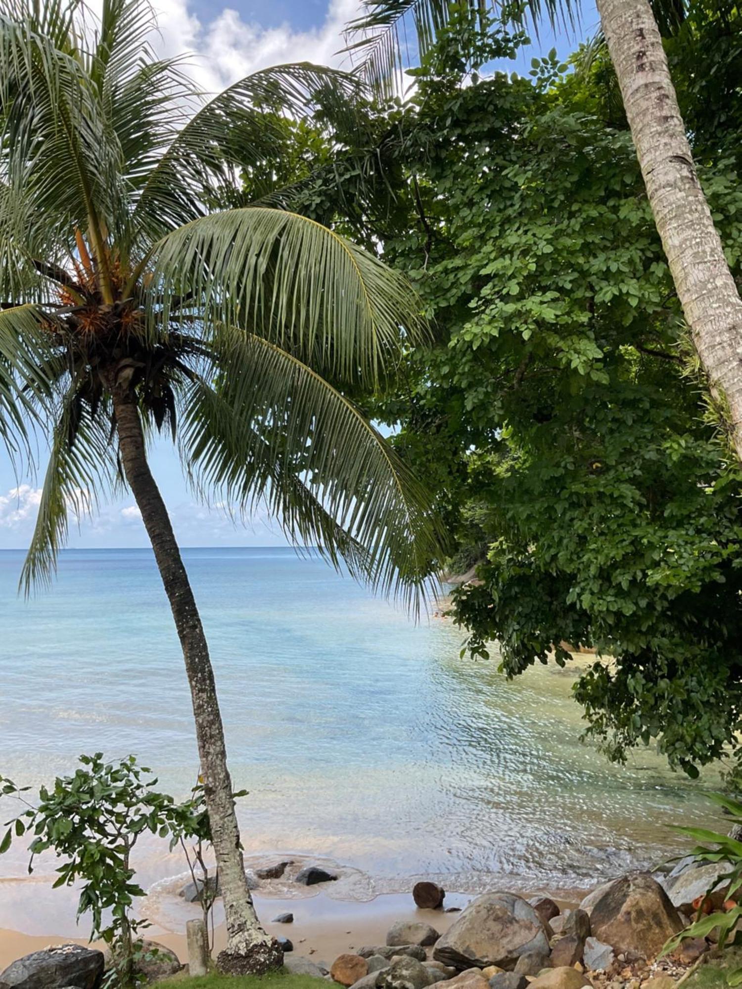 Abc Chalet Tioman Kampong Ayer Batang Bagian luar foto