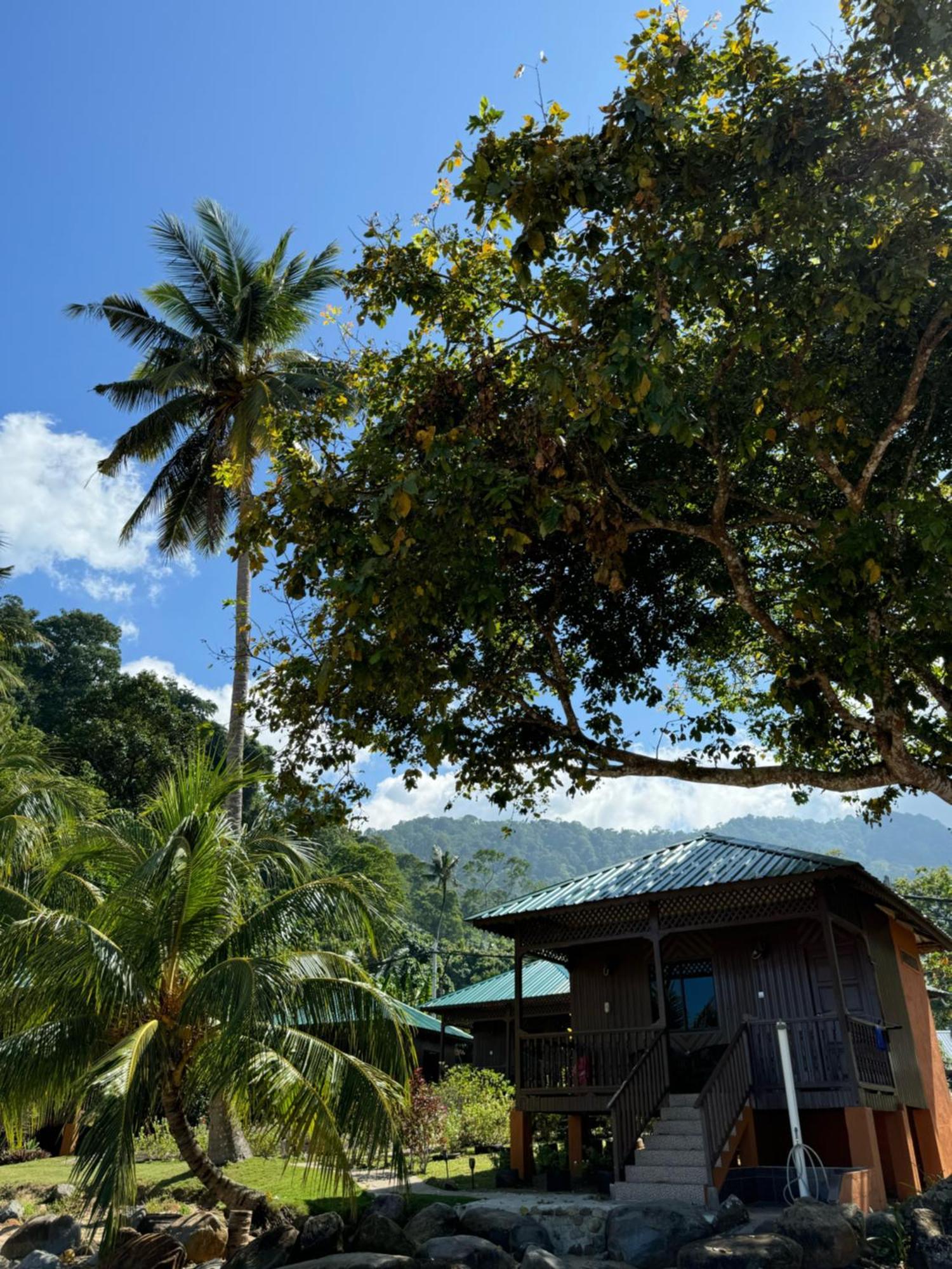 Abc Chalet Tioman Kampong Ayer Batang Bagian luar foto