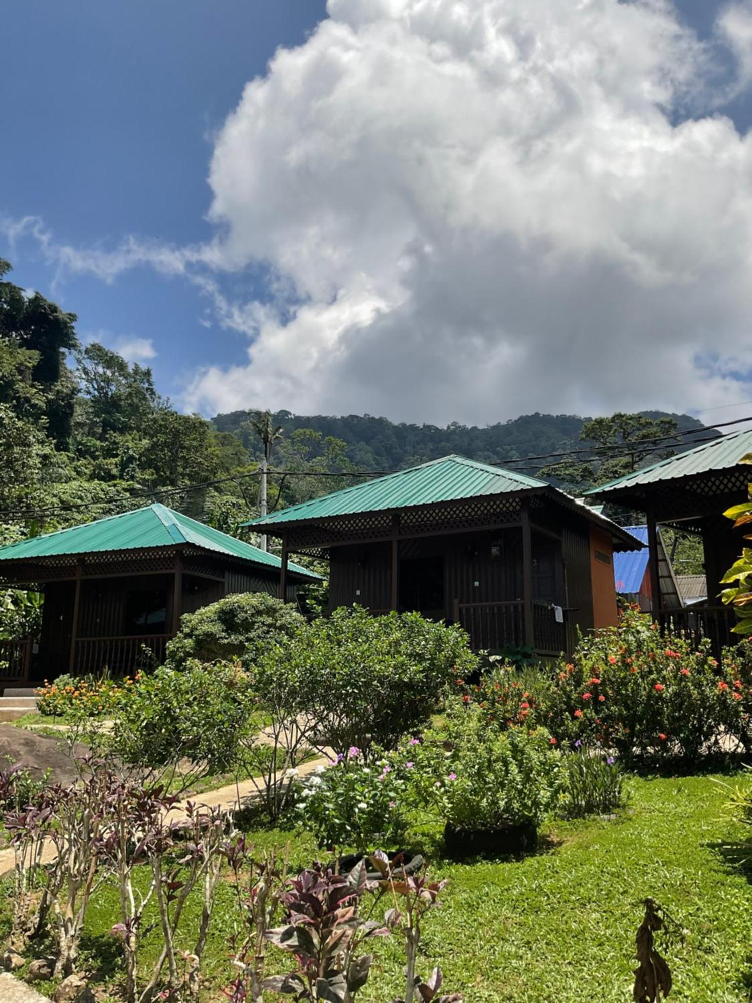 Abc Chalet Tioman Kampong Ayer Batang Bagian luar foto